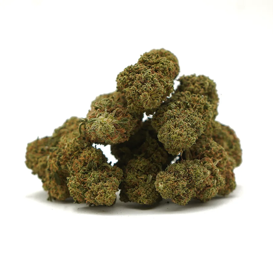 Gorilla Glue Indoor
